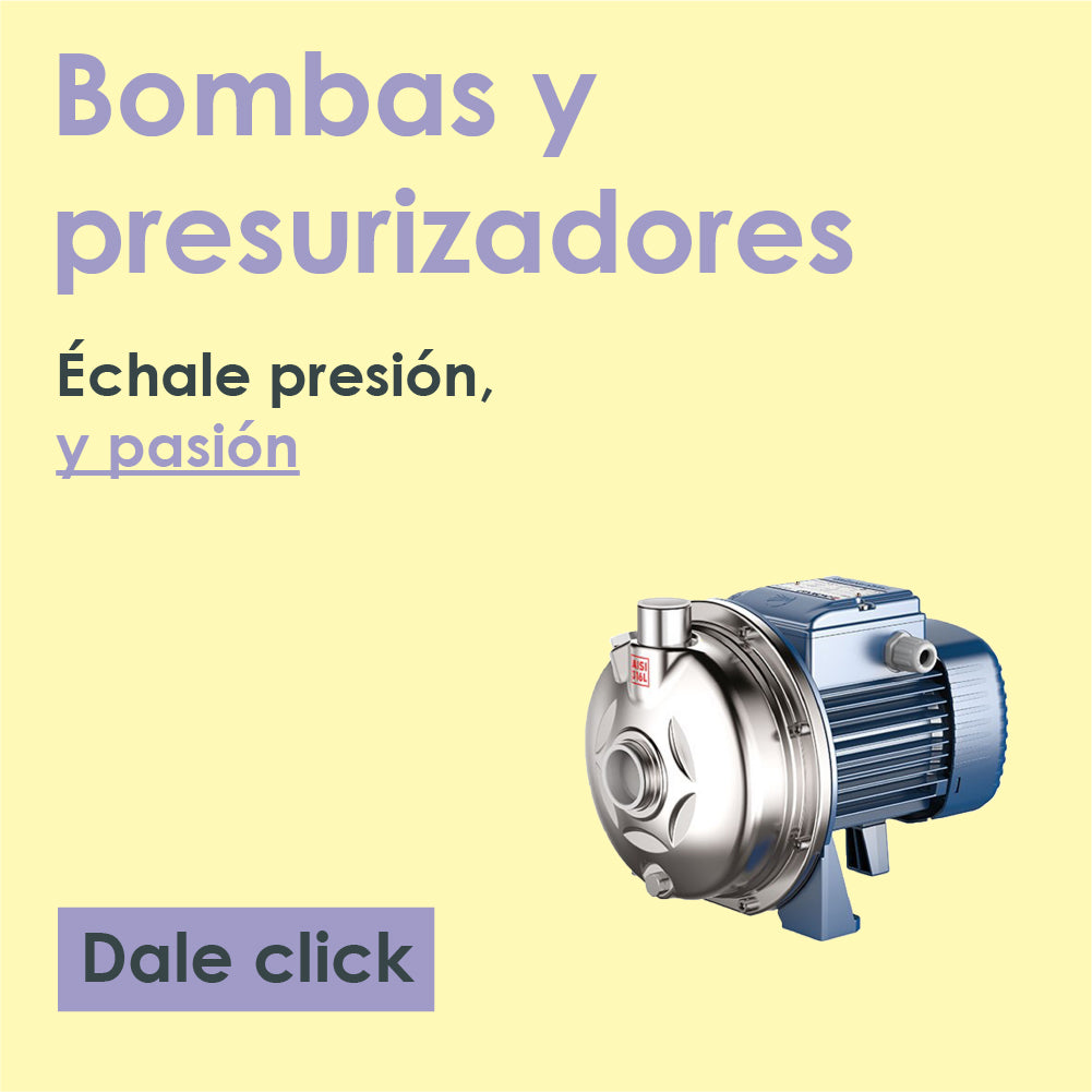 Bombas y Presurizadores