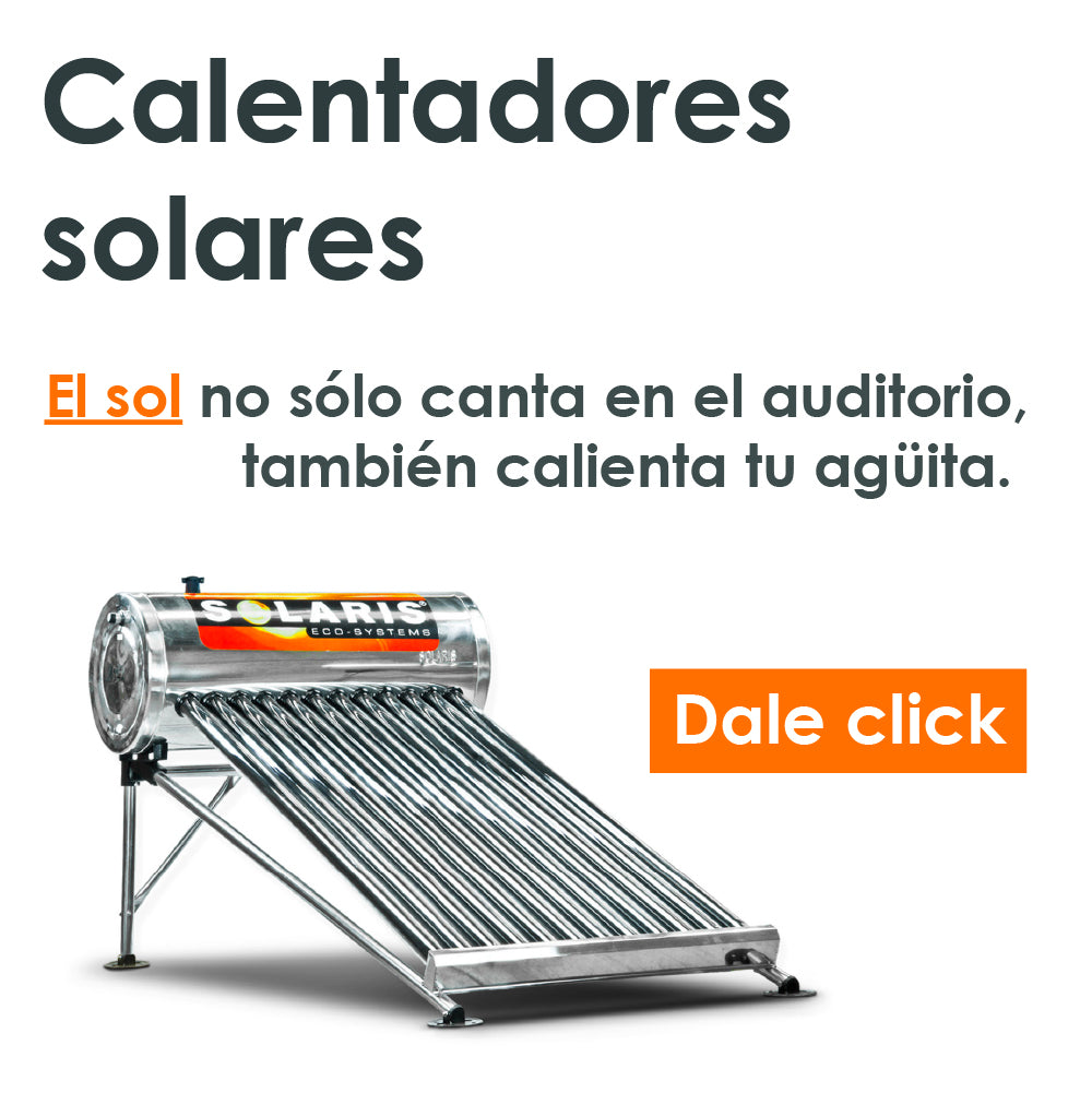 Calentador solar