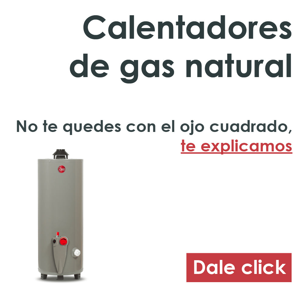 Calentadores de Gas Natural