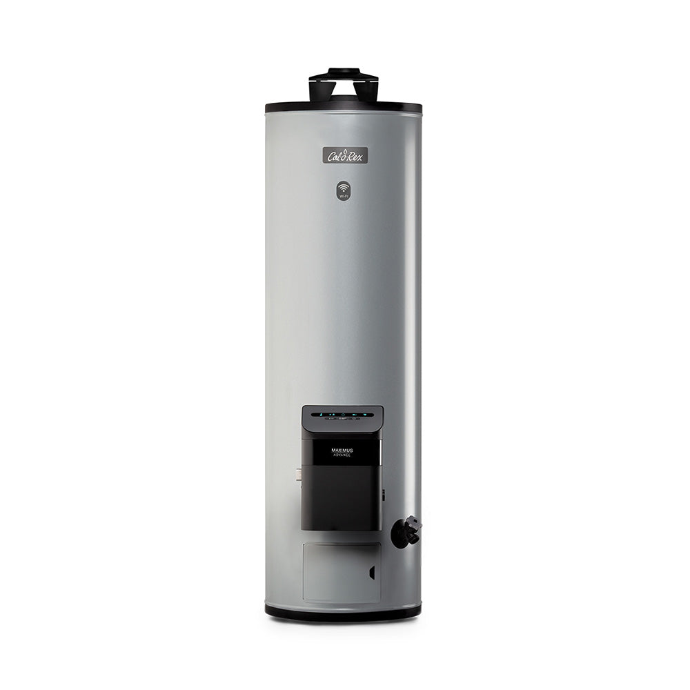 Maximus Advance Wifi 72L